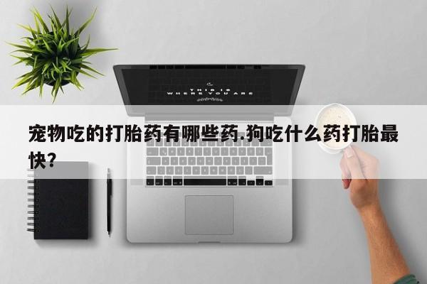 米非司酮片在线购买微信宠物吃的打胎药有哪些药.狗吃什么药打胎最快？